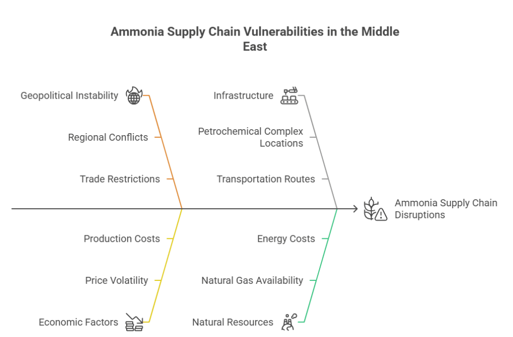 Ammonia Supply Chain Vulnerabilities in the Middle East