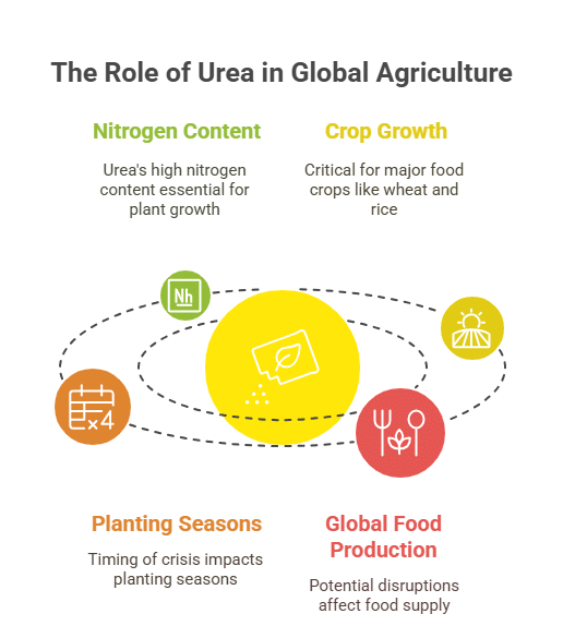 The Role of Urea in Global Agriculture 2025